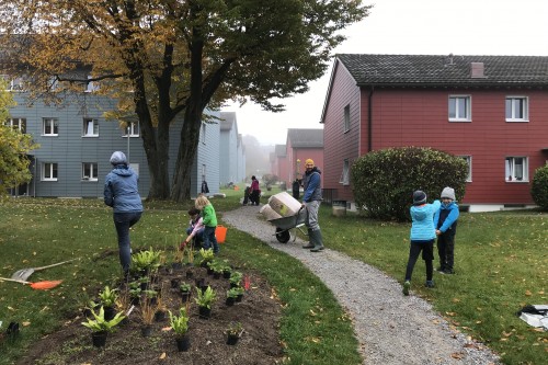 Nadine Rogger - partizipative Gartenprojekte - Wildstaudeninseln - Bepflanzung mit mehrjährigen Wildstauden