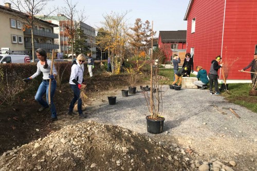 Nadine Rogger - partizipative Gartenprojekte - Ruderalfläche - Bepflanzung Ruderal