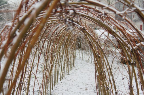Nadine Rogger - partizipative Gartenprojekte - Weidenbau - Weidentunnel im Winter