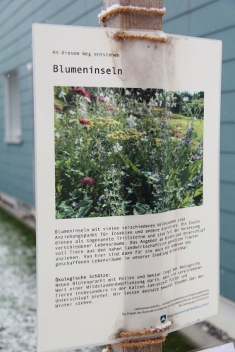 Nadine Rogger - partizipative Gartenprojekte - Wildstaudeninseln - BGW Infotafel 