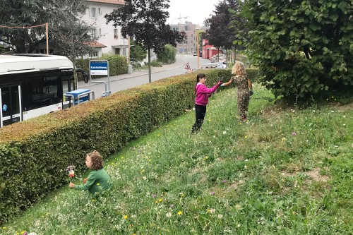 Nadine Rogger - partizipative Gartenprojekte - Blumenwiese - Blumenwiese 