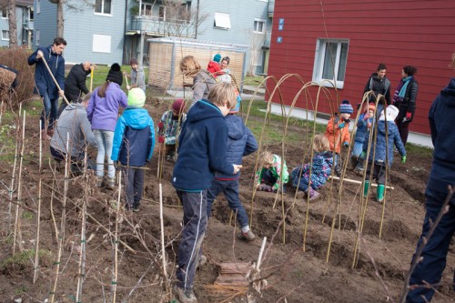 Nadine Rogger - partizipative Gartenprojekte - Weidenbau - Weidenbau Gemeinschaftswerk 