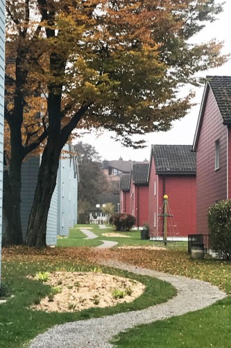 Nadine Rogger - partizipative Gartenprojekte - Wildstaudeninseln - 